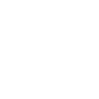 why-hire-us-icon-3-1