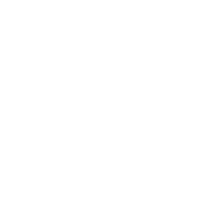 why-hire-us-icon-4-1